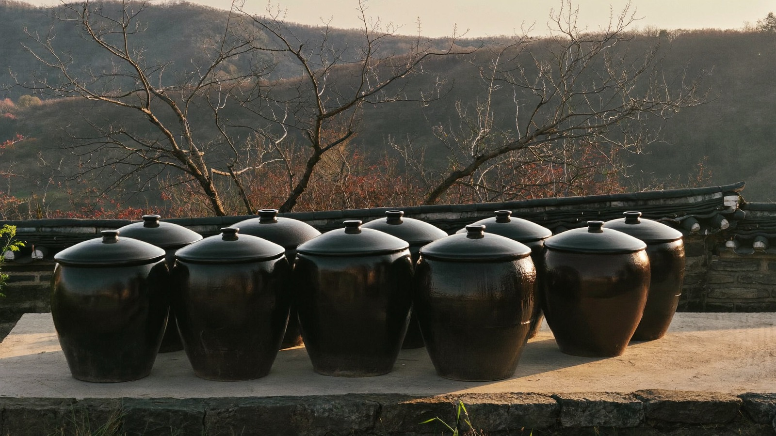 A row of large dark earthenware onggi fermentation jars standing on a stone terrace in late afternoon sunlight.